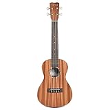 Cordoba Protege U1 Concert Ukelele Natural